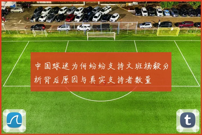 中国球迷为何纷纷支持文班杨毅分析背后原因与真实支持者数量