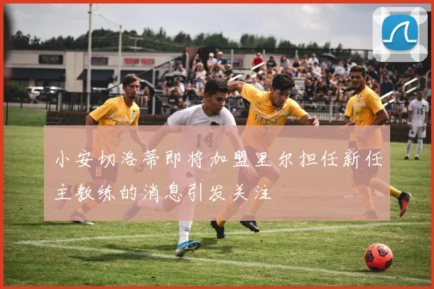 小安切洛蒂即将加盟里尔担任新任主教练的消息引发关注