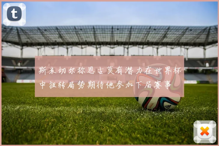 斯米切尔称恩古莫有潜力在世界杯中扭转局势期待他参加下届赛事